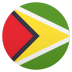 🇬🇾 flag: Guyana display on JoyPixels